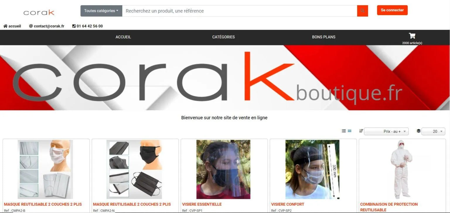 Aperçu de la page d'accueil du site Corak