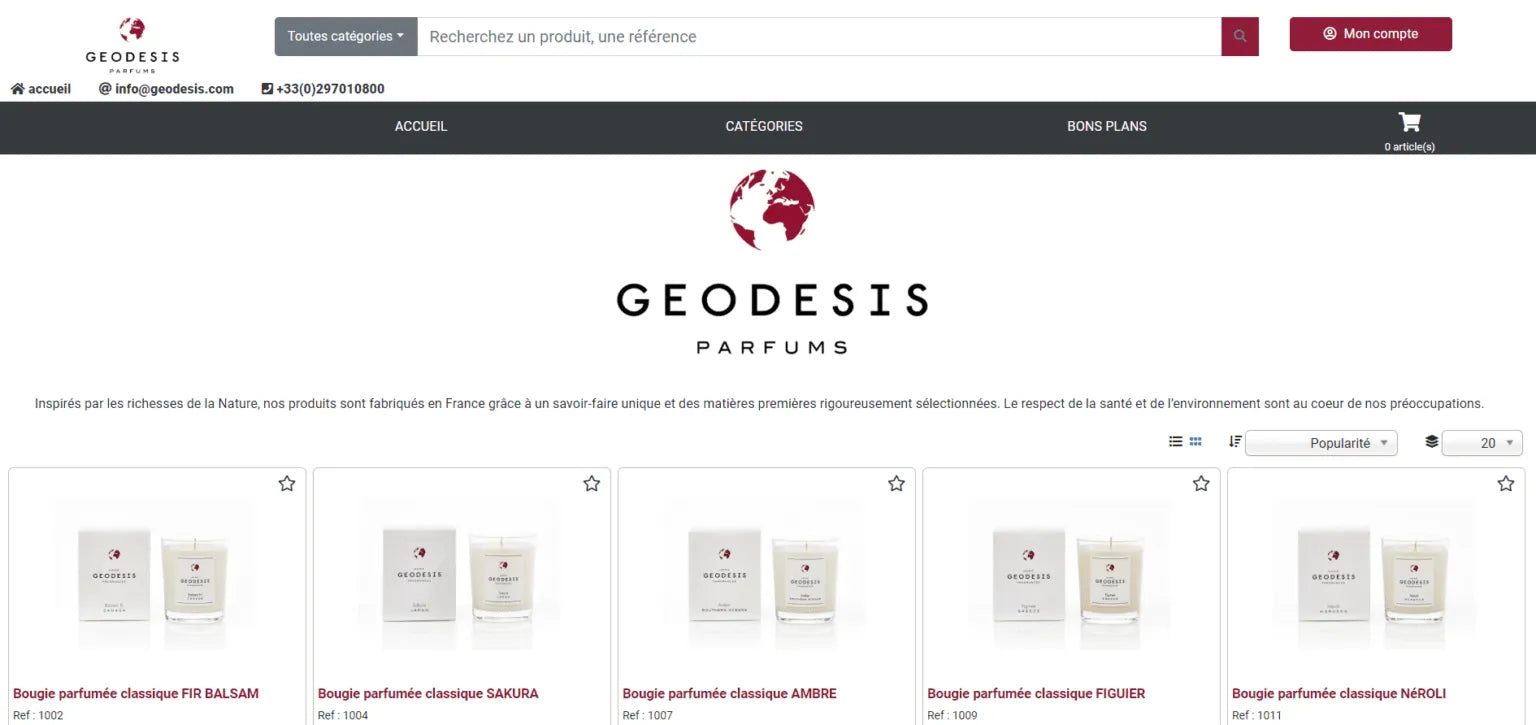 Aperçu de la page de collection du site Geodesis