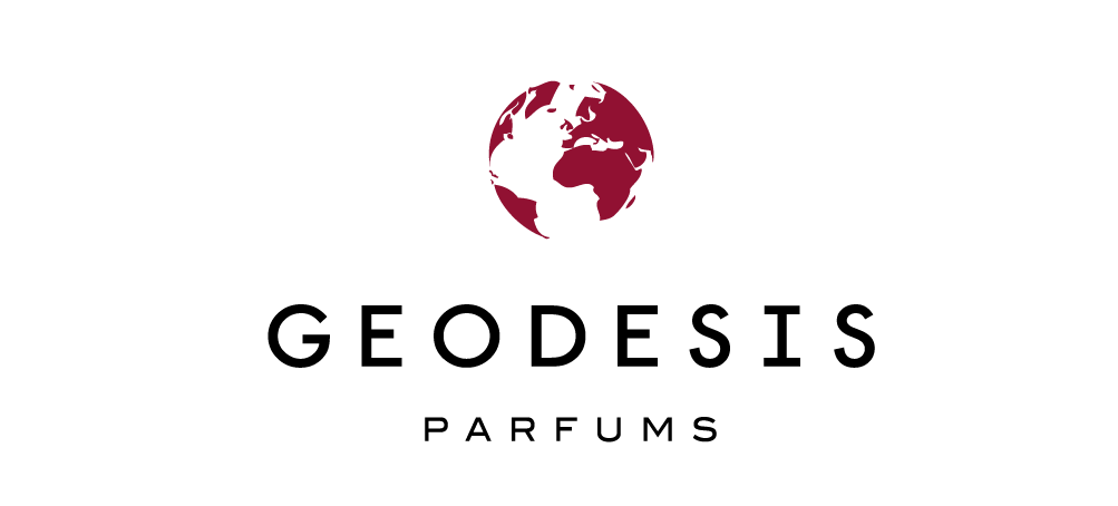 Logo de Geodesis, cas client HUGGII