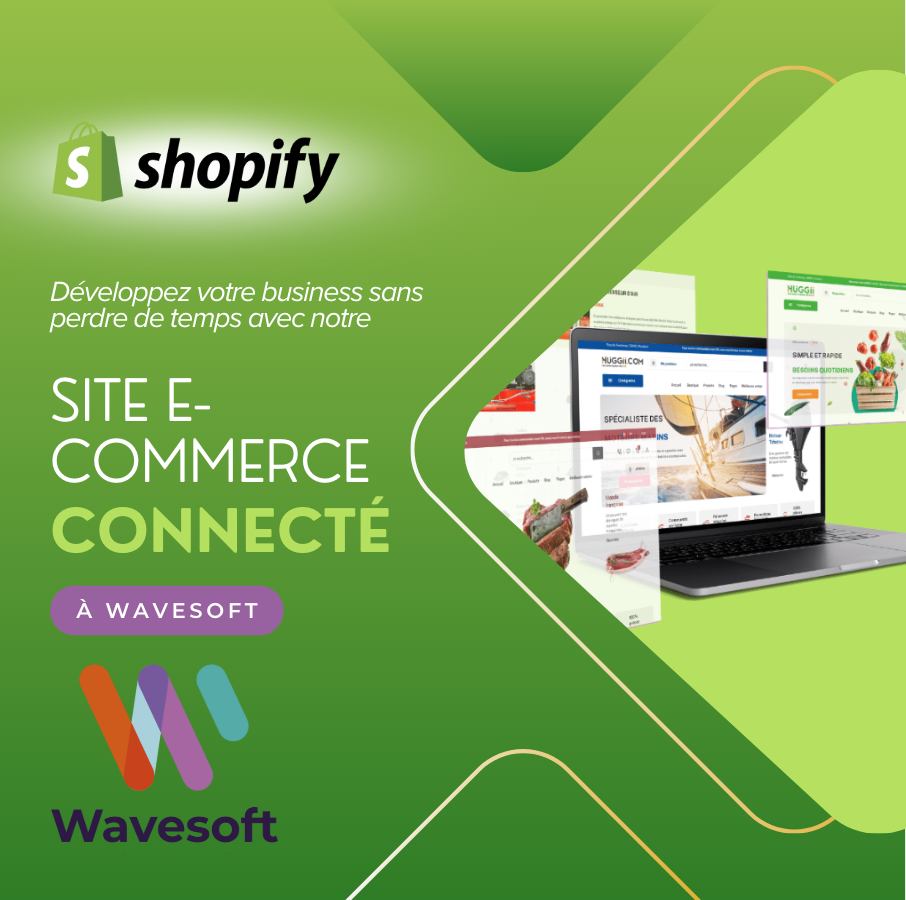 Site e-commerce connecté à Wavesoft