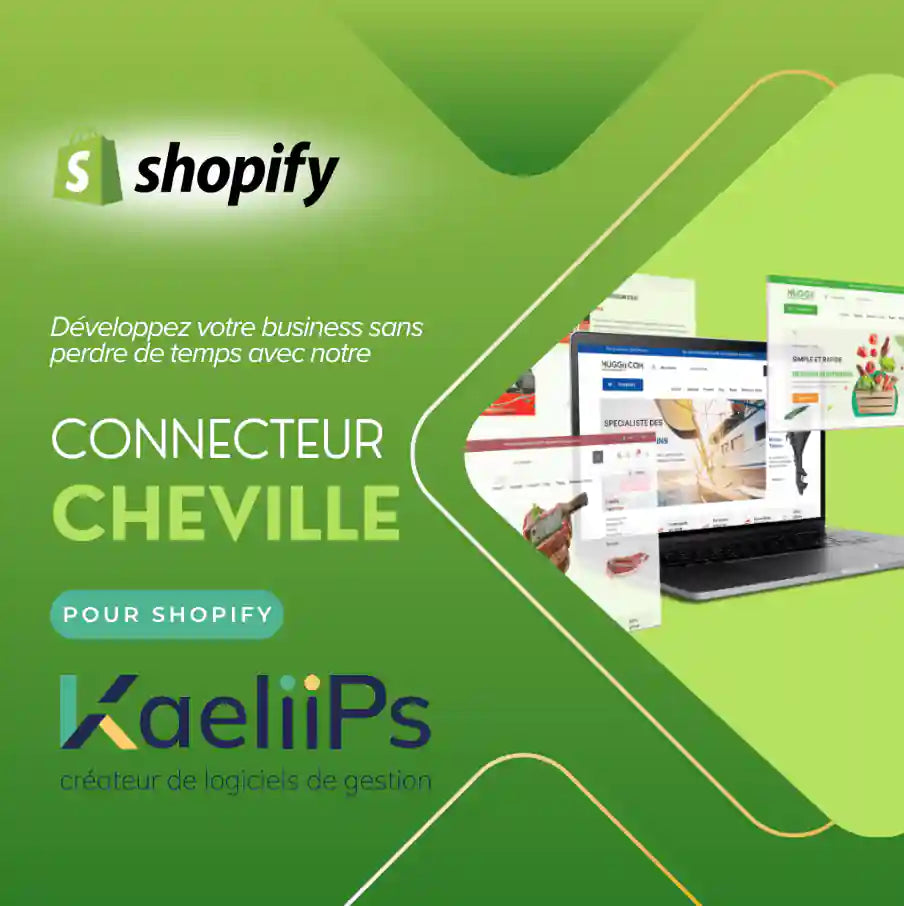 Image connecteur Kaeliips Sopify