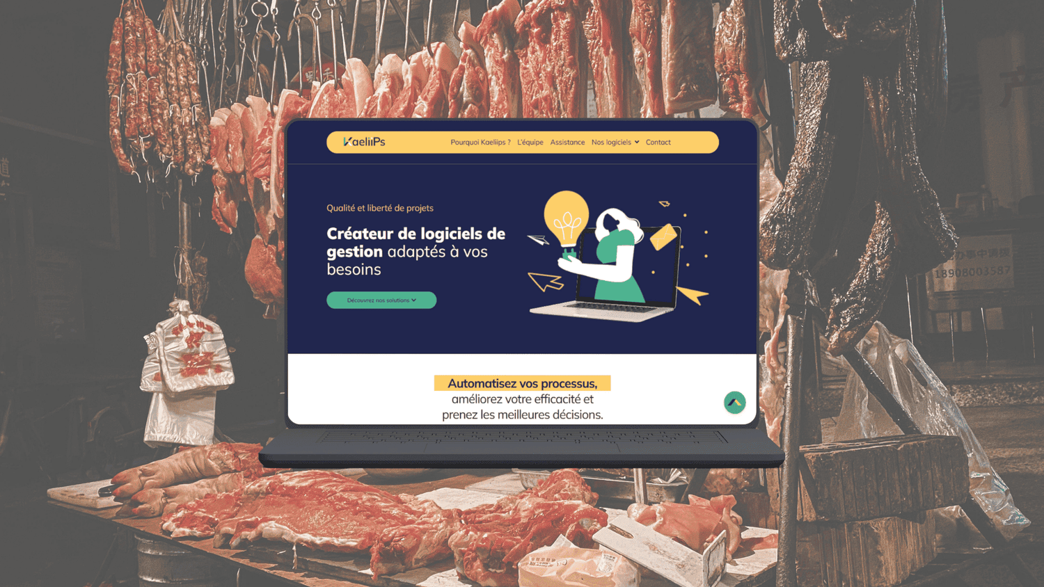 Homepage du partenaire Kaeliips