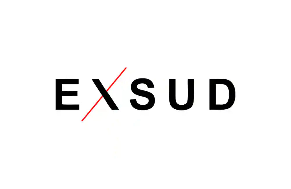 Logo Exsud