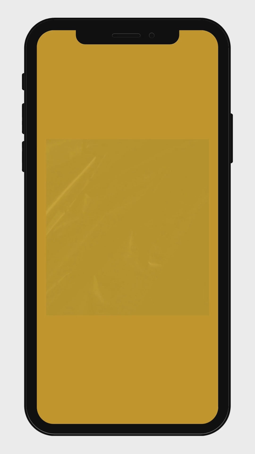 Vidéo de notre réalisation Charcuterie des Flandres