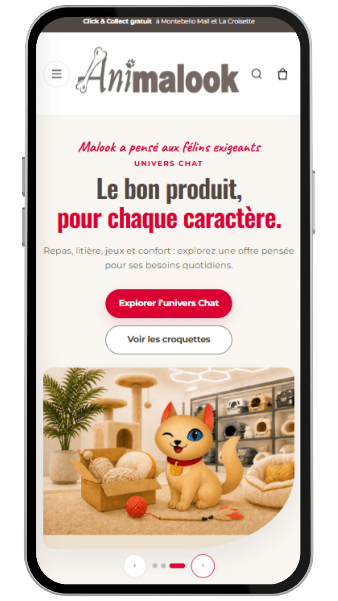 Capture d'écran téléphone du site Animalook Maurice