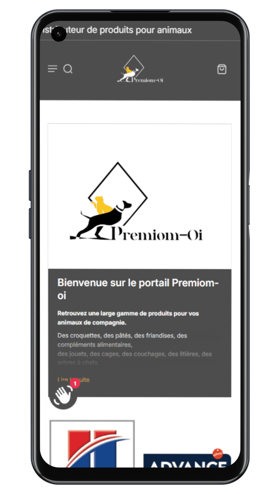 Homepage téléphone du client premiom-OI