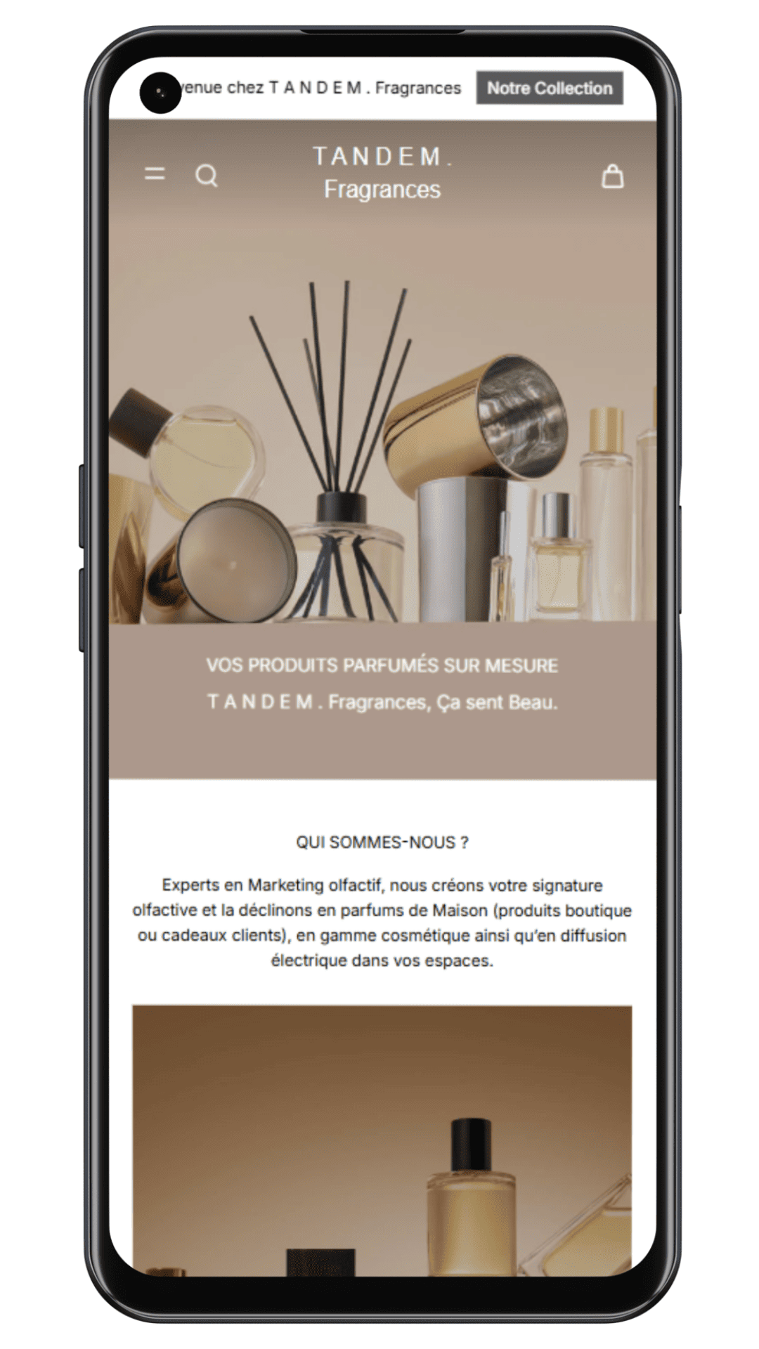 Apercu téléphone de T A N D E M . Fragrances